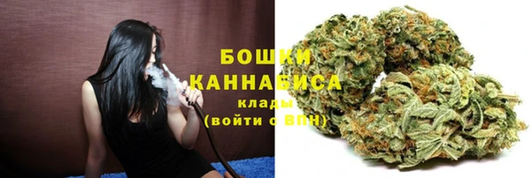 apvp Дмитровск
