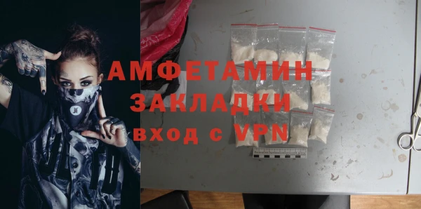 сатива Дмитриев