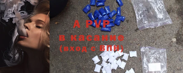 сатива Дмитриев