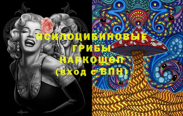 apvp Дмитровск