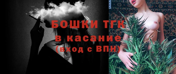 сатива Дмитриев