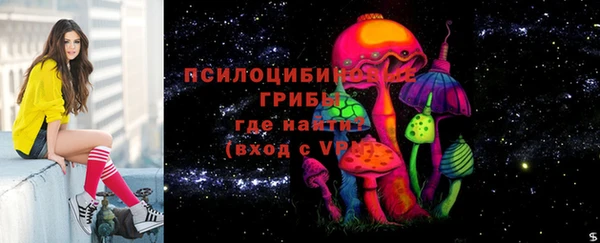 apvp Дмитровск