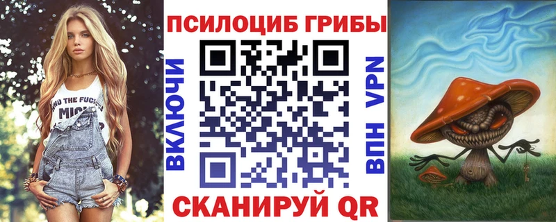 Псилоцибиновые грибы Cubensis  Димитровград 